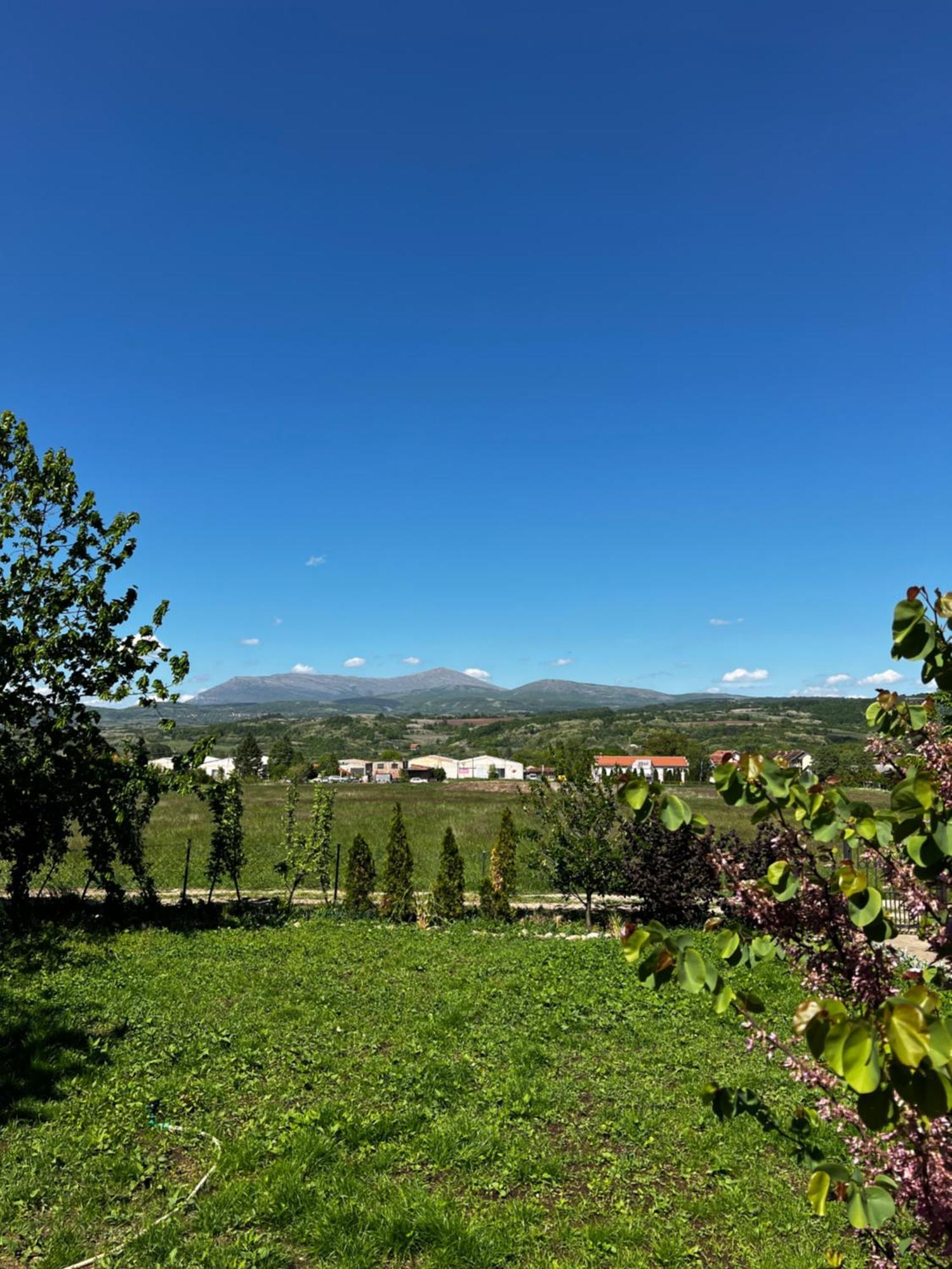 House Milovanovic Сокобаня Экстерьер фото